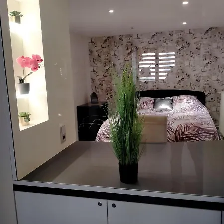 Apartamento Passage Des Romains Horbourg